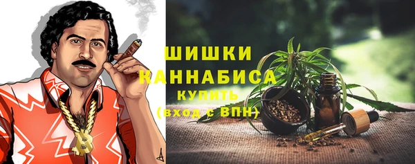 гидра Белоозёрский