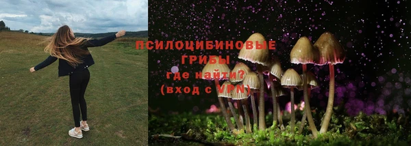 наркотики Белокуриха